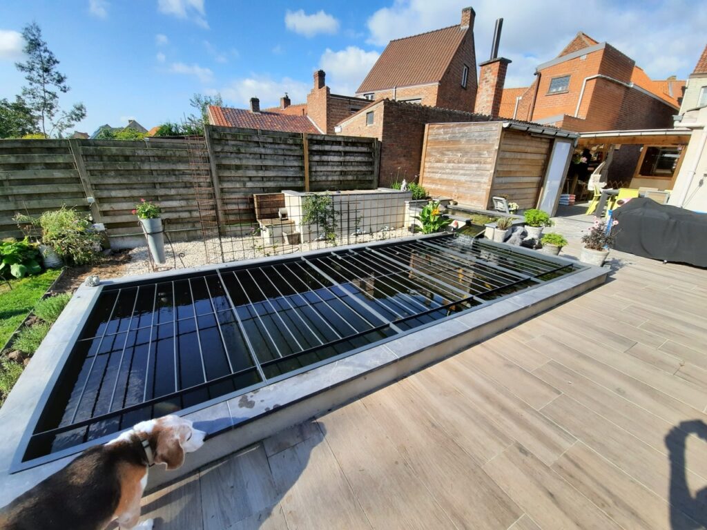 Tuin met een moderne vijver met veiligheidsrooster, houten tuinhuis en een beagle hond in de zon